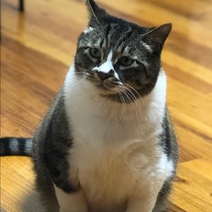 Meet your Posher, Mimi